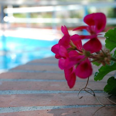 מיסטרביאנקו Hotel La Villa מראה חיצוני תמונה